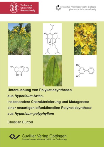 Untersuchung von Polyketidsynthasen aus Hypericum-Arten, insbesondere Charakterisierung und Mutagenese einer neuartigen bifunktionellen Polyketidsynthase aus Hypericum polyphyllum